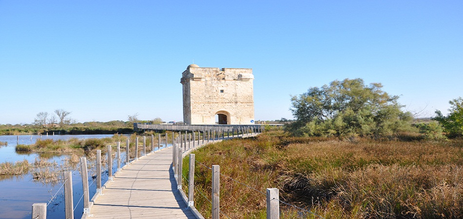 Que visiter à Aigues-Mortes et dans les environs ?