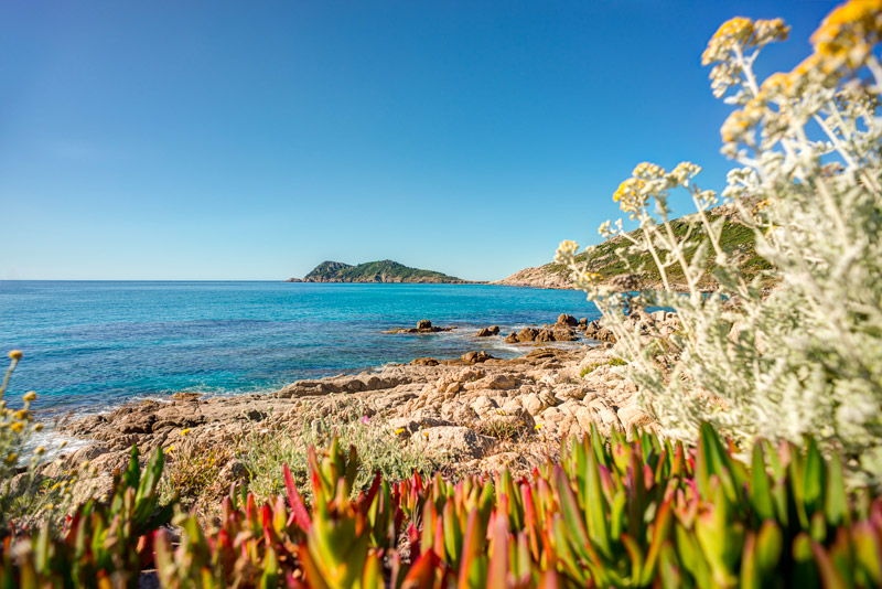 Camping 4 étoiles à Saint-Tropez et environs : lequel préférer ?