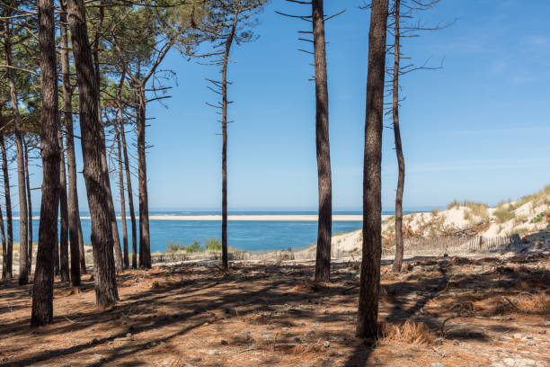 Les meilleures locations de vacances dans les Landes